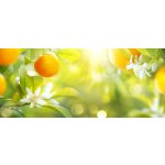 Náplň do osvěžovače POD, SOLO, DUAL - Citrusové plody